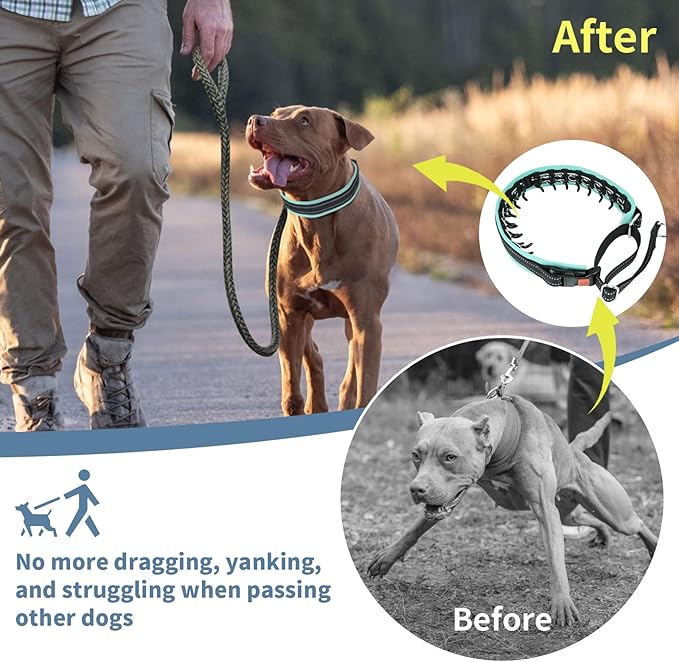Mayerzon Martingale No Pull Collar for Medium Large Dogs, Patented Anti Pull Dog Collar with Buckle for Walking Training, with Neoprene Padding and Reflective Stitching, Adjustable(Teal Trim, L)