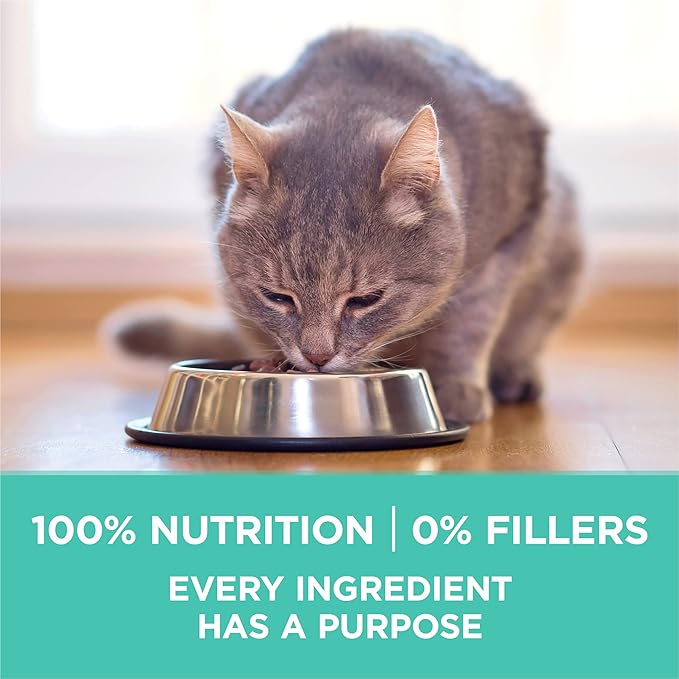 Purina ONE Sensitive Stomach, Sensitive Skin, Natural Dry Cat Food, +Plus Sensitive Skin and Stomach Formula - 3.5 Lb. Bag
