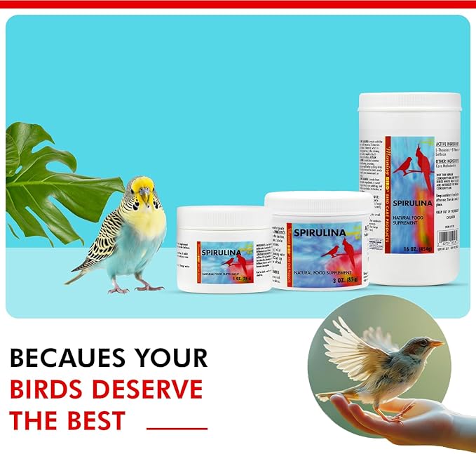 Morning Bird Spirulina, Supplement for Caged Birds, Organic Bird Food Supplement with Vitamins, Proteins, and Amino Acids for Parakeets, Cockatiels, Budgies, Finches, Canaries, and Parrots, 3 oz