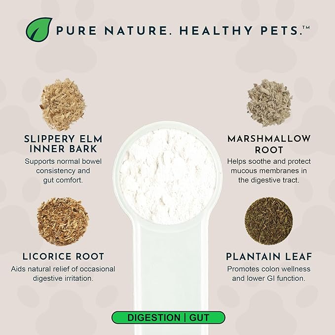 Animal Essentials Colon Rescue Powder - Herbal Digestive Aid for Dogs & Cats, Phytomucil, Healthy Gastrointestinal Tract, Certified Organic Herbs, No Preservatives, Glycerin-Based Formula - 1 Oz