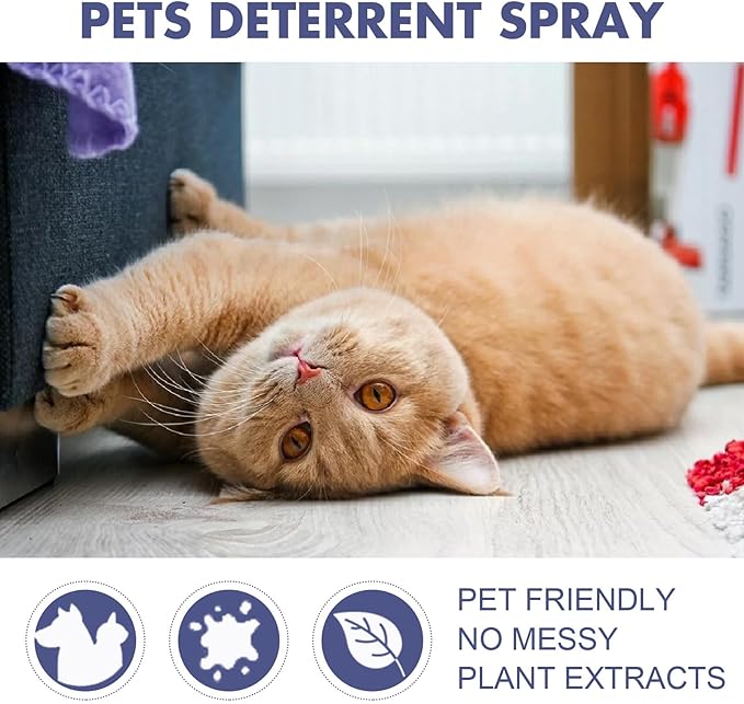 Cat Scratch Deterrent Spray for Furniture – Natural Bitter Taste Training Aid – Indoor Cat Repellent with Plant Extracts & Peppermint – Protects Sofa, Carpet & Curtains – 50ml/1.7 Fl Oz