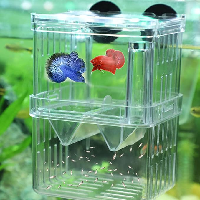 Aquarium Breeder Box for Fish for Tank Breeding Incubator Small Fish Hatchery Double-Layer Separation for Tank for Injur