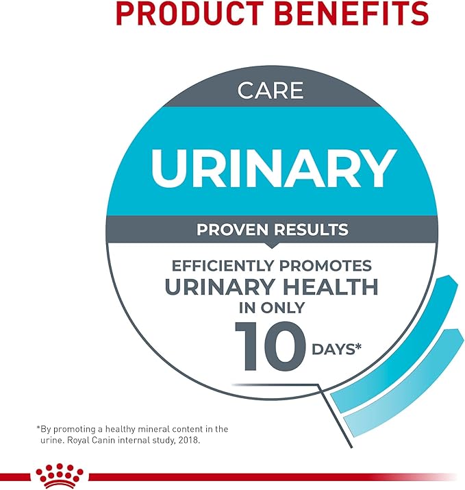 Royal Canin Feline Care Nutrition Urinary Care Adult Thin Slices in Gravy Cat Food, 3 oz (Pack of 6)