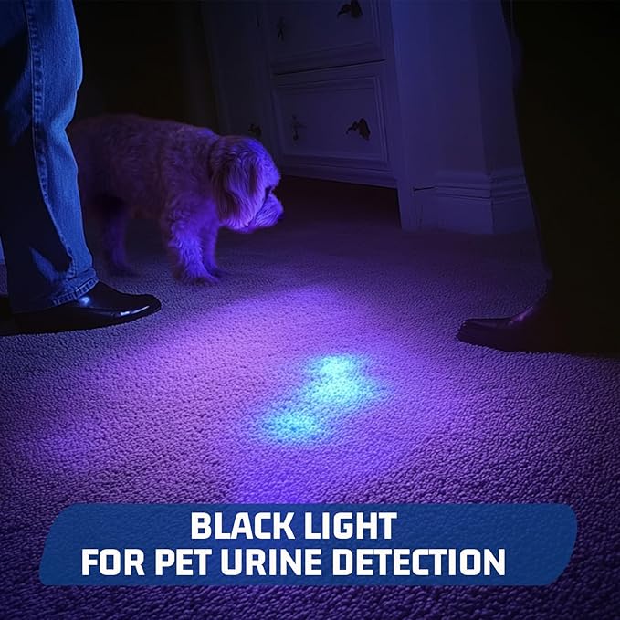 S3U UV Flashlight Blacklight, Rechargeable Powerful Handheld UV Light for Resin Curing, Pet Urine & Scorpion Detection, Rocks & Minerals Hunting (385NM)