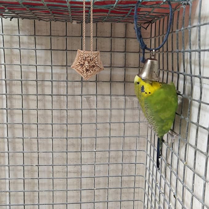 12pcs Natural Parrot Chewing for Budgie Parakeet Bird Foraging Accessories with Crunchy Texture Healthy Beak Grinding to Prevent Furniture Damage and Loneliness