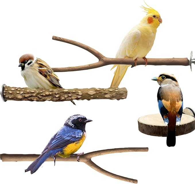 Bird Cage Stand Perches - 4pcs Natural Birds Hanging Wood Platform Multi-Branch Perches for Macaws Conures Budgies Parakeets Parrot Cage Accessories