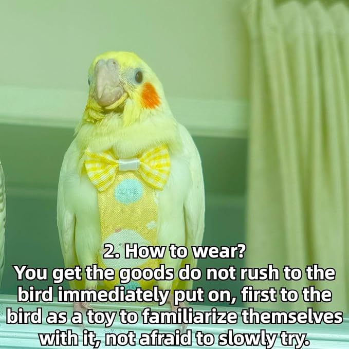 Bird Diaper Protective Parrot Nappy - 4 Pack, Reusable Flight Suit with Waterproof Inner Layer, Adjustable Shoulder Straps, Washable Cute Urine Wet Suit for Parakeet Conure (2M)