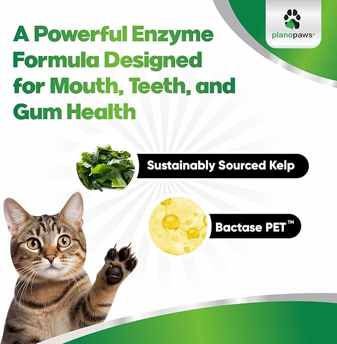 Cat Dental Care Powder - Easier Than Toothpaste - Alternative to Dental Treats for Plaque Removal - Teeth Cleaning Powder with Bactase PET - Breath Freshener for Bad Breath - Oral Care All Ages, Sizes