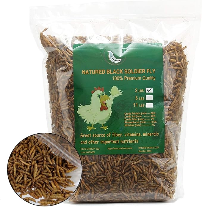 Black Soldier Fly Larvaeis,10LB 100% Natural Large Size No Moisture,Mealworm for Birds Chickens Hedgehog Hamster Fish Reptile Turtles