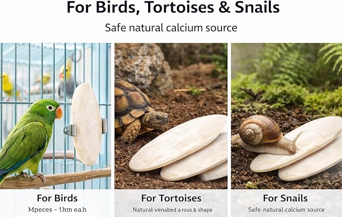 Birds LOVE 3.5-4″ Cuttlebones for Birds – 100% Natural Sun-Dried Calcium Carbonate Mineral Supplement – for Parakeets, Budgies, Cockatiels, Finches & Canaries – 12 Pack with Holder – Made in Vietnam