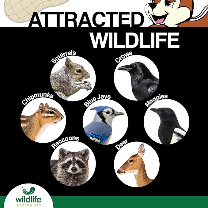 Peanut Party Unprocessed, Raw in-Shell Peanuts Wildlife Animal Food, 10lb - Rich in Protein, Healthy Fats, and Essential Nutrients for Birds, Squirrels and Waterfowl