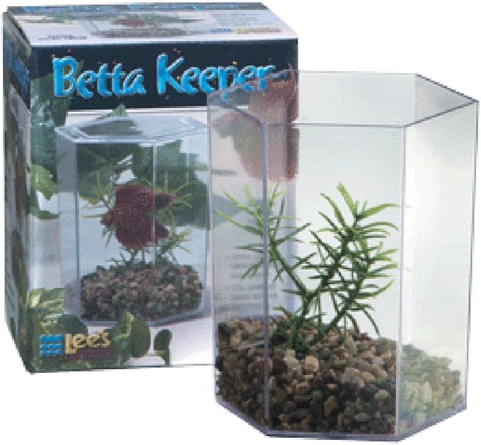 Betta Keeper