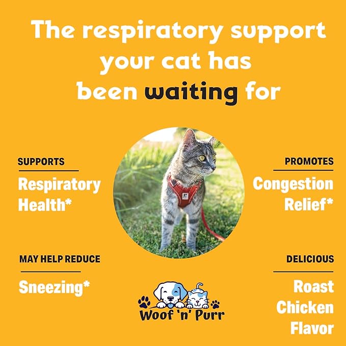 Lysine for Cats - L-Lysine for Cats - May Help with Respiratory Health, Sneezing, Runny Nose & More - Cat Cold Relief - Cat Sneezing Treatment - 1 fl oz