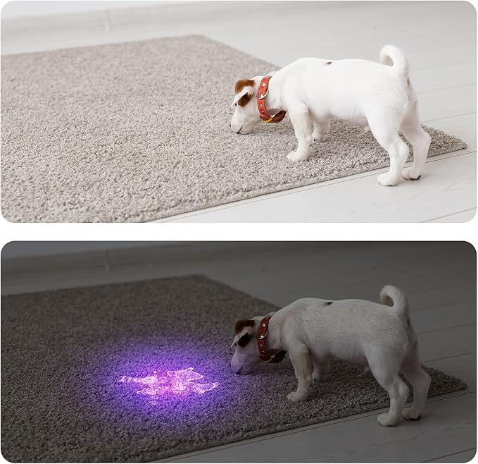COSOOS 4 Pack Blacklight Flashlights, 395nm UV Handheld Black Light Flashlight, 12LED Mini Portable Pet Urine Detector for Dog Cat Urine, Scorpions, Dry Stains, Bed Bugs(Silver)