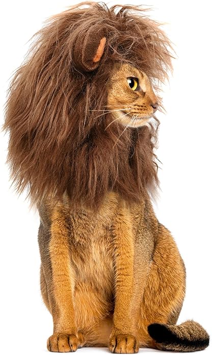 Onmygogo Lion Mane Wig for Cats and Dogs, Funny Pet Cat Costumes for Halloween Christmas, Furry Pet Clothing Accessories