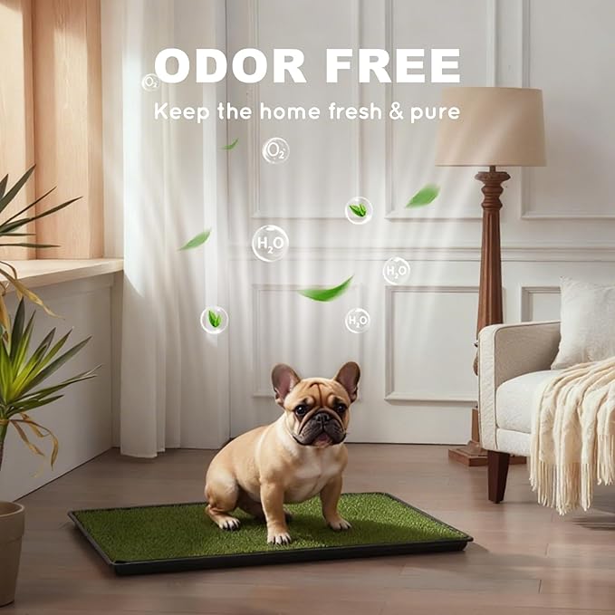 Dog Grass Pad with Tray Medium 31”×21”, Dog Litter Box with Odor Free Artificial Grass Pee Pads for Dogs Potty Tray with Hemmed Edge, Realistic for Indoor Balcony