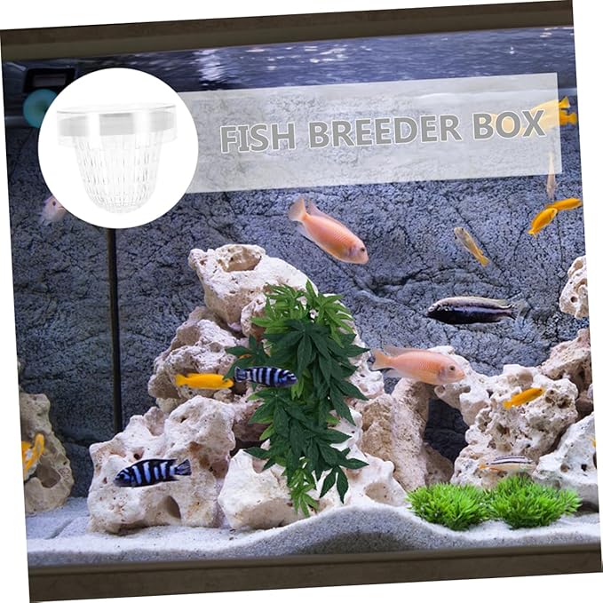 HEMOTON 2pcs Aquarium Fish Breeding Box Isolation Hatchery for Guppies Floating Design Easy Installation Versatile for Fish Tank