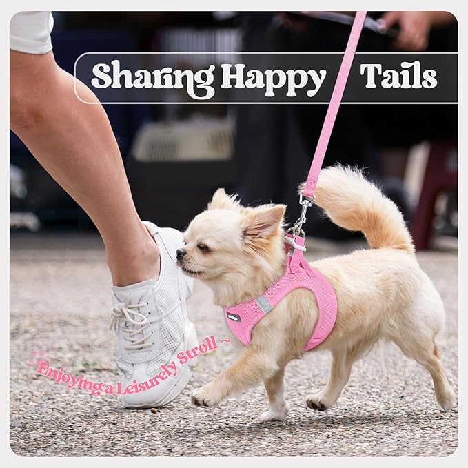 rabbitgoo Dog Harness Small Medium Sized and Leash Set, Step in Soft Light Puppy Vest, Breathable Mesh Pet Harness, Reflective for Safe Easy Walking, Light Pink L
