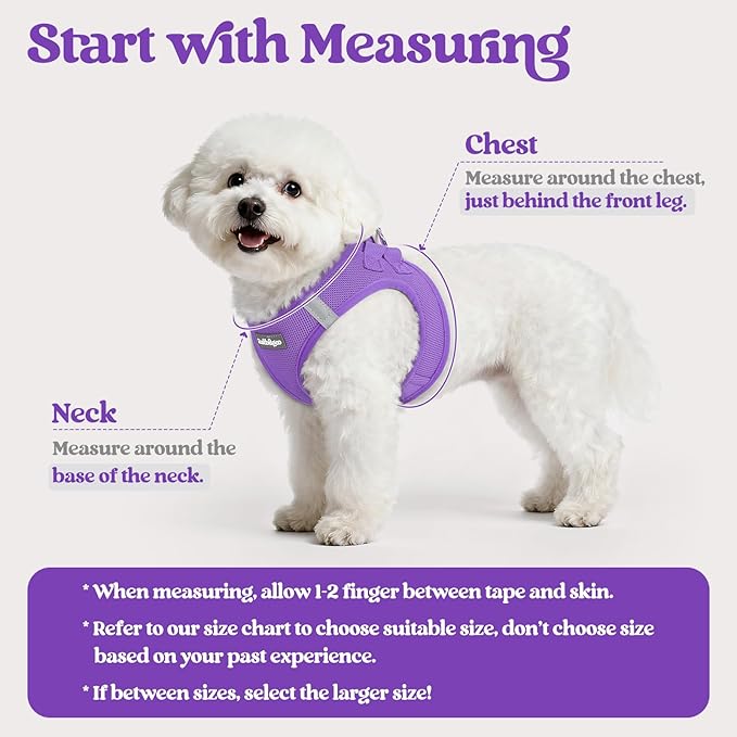 rabbitgoo Dog Harness Small Sized and Leash Set, Step in Soft Light Puppy Vest, Breathable Mesh Pet Harness, Reflective for Safe Outdoor Walking, Purple S