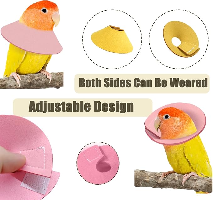 4 Pcs Bird Cone Collar, Pet Parrot Anti-bite Elizabethan Collars, Bird Collars for Feather Plucking for Lovebird Budgerigar Cockatiel Cockatoo Parrots (Mix Colors)