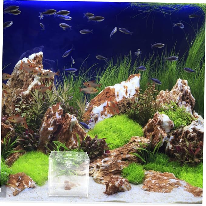 VICASKY Fish Breeding Box Acrylic Fish Tank Accessory for Safe Fry Separation Design for Aquarium Use Lightweight and Portable Isolation Container