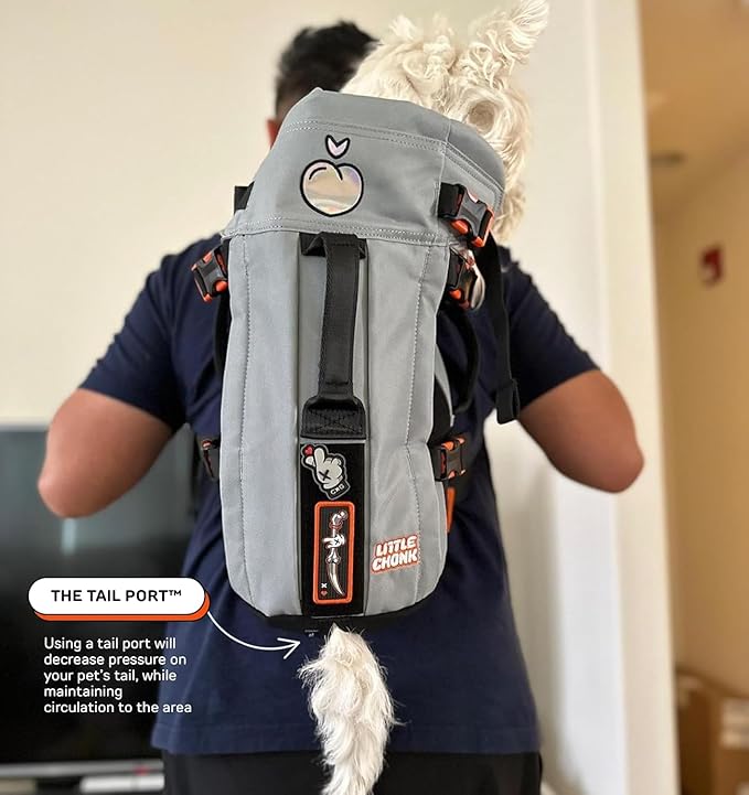 Maxine One Dog Backpack Carrier for Medium Dogs by Little Chonk | Adjustable & Ergonomic Front Facing Dog Carrier Backpack | Bult to be Safer | Pet Backpack Carrier, Featured in Wired Magazine - Gray