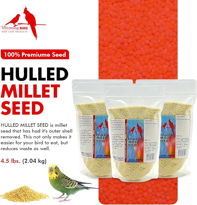 Morning Bird Hulled Millet 4.5 lbs (3-Pack, 1.5 lbs Each) – Nutritious Hulled Millet Seed - Easily Digestible with High Fiber, Rich in Vitamins & Minerals for Birds, Ideal Bird Feed for All Bird Types