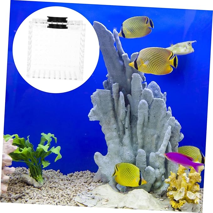 UPKOCH 1pc Fish Isolation Box Magnet Transparent Breeding Container for Aquarium for Fish and Shrimp Separation Tank Accessory