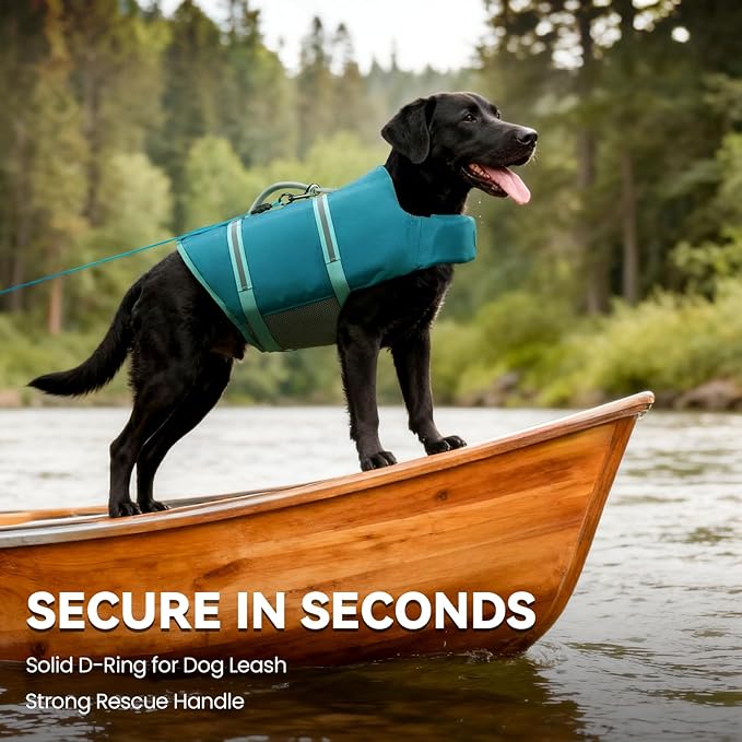 VIVAGLORY Rip Stop Dog Life Vest, Swimming Vest with Handle, Buoyancy for Doggy Puppy, Dog Life Jacket for Swimming & Boating, XXS, Turquoise