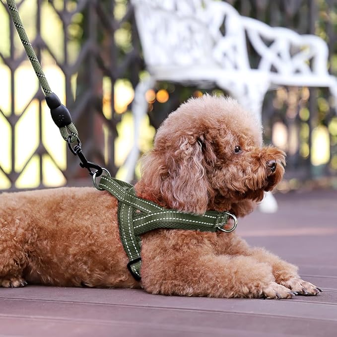 Plutus Pet No Pull Dog Harness with Breathable Mesh Padded, Adjustable Reflective Escape Proof Dog Harness, Quick Fit Dog Vest Harness for Small Medium Large Dogs(XL, Ranger Green)