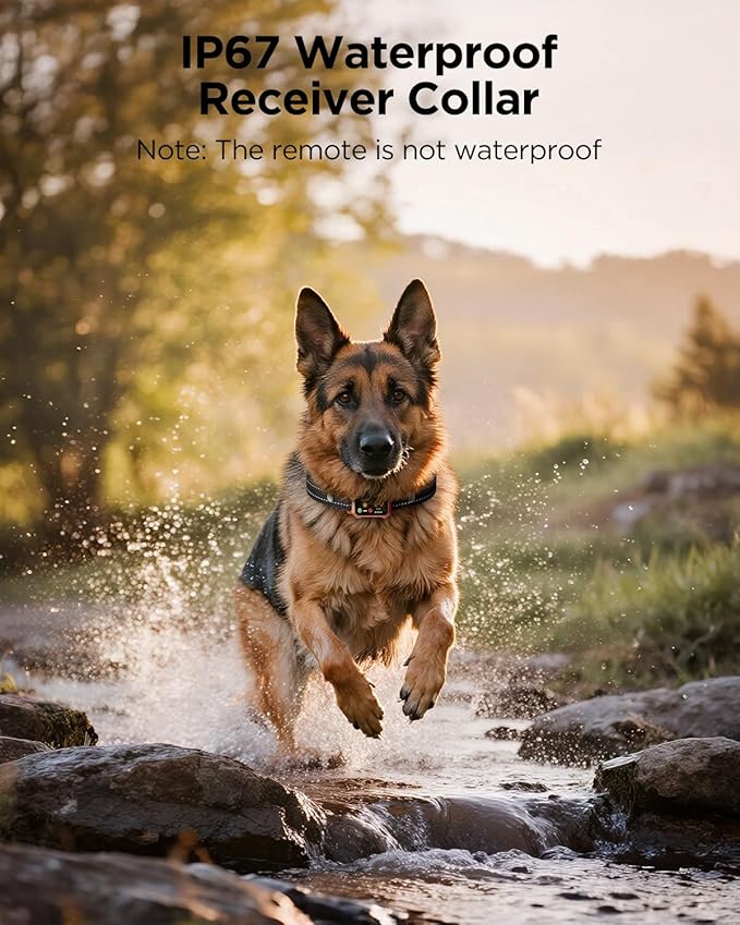 BLACKDOG Dog Training Collar, 4200ft Armor-Proof Dog Shock Collar with Remote, IP67 Waterproof Dog E Collar with 4 Training Modes & Night Vision Dual-Light for All Breeds 5-150lbs (Orange)