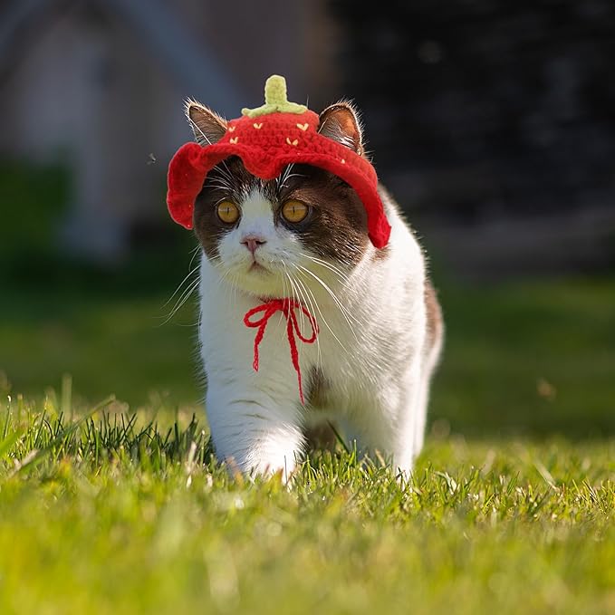 Strawberry Cat Hat, Cotton & Soft Cute Knitted Hats for Cats Strawberry Crochet Cat Hats for Cats Only Cute Puppy Hat for Small Pets on Christmas Birthday Party Halloween (Red, S)