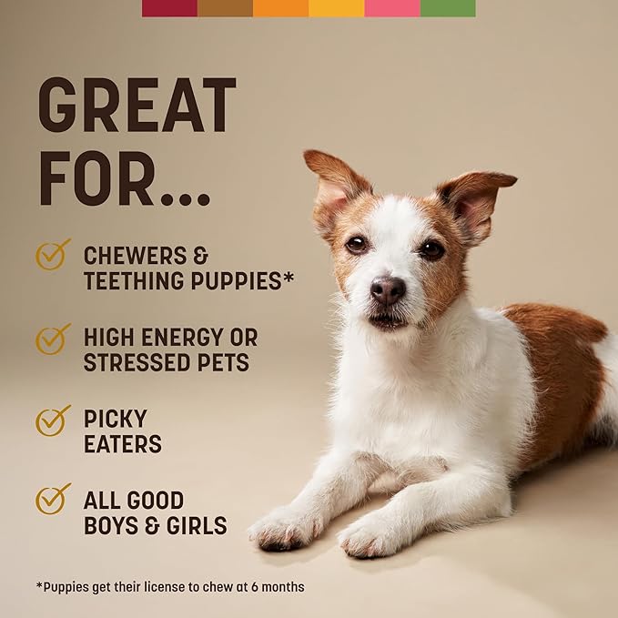 Earth Animal No Hide Chews - Long Lasting Rawhide Free Small Dog Chews Rolls, Peanut Butter - 2 Count