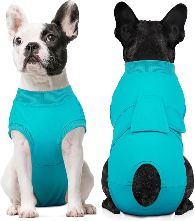 Kuoser Dog Recovery Suit for Dogs After Surgery, Soft Surgical Onesie for Female Male Dogs Spay Neuter, Anti-Licking Pet Bodysuit for Abdominal Wounds, Skin Disease, E-Collar Alternative, Lakeblue XS