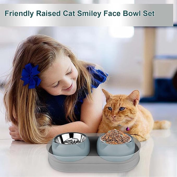 Elevated Raise Tilted Cat Food Bowls,with Stand Stainless Steel, Anti Vomiting, Double Cat Food and Water Bowl Set (Grayblue)
