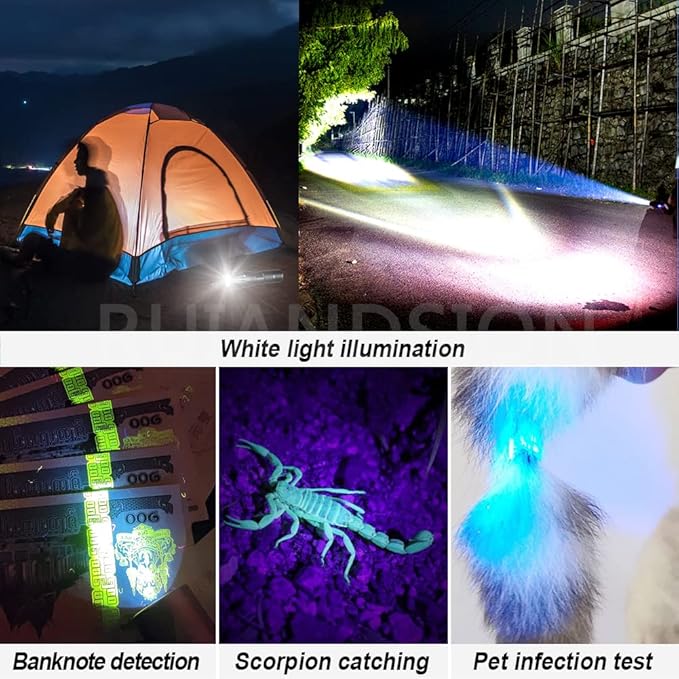 Ruiandsion UV Blacklight Flashlight, Super Bright UV and White Lights Flashlight Pet Dog Cat Urine Detector for Pet Urine Stains, Bed Bugs, Scorpions Finder and Outdoor Lighting