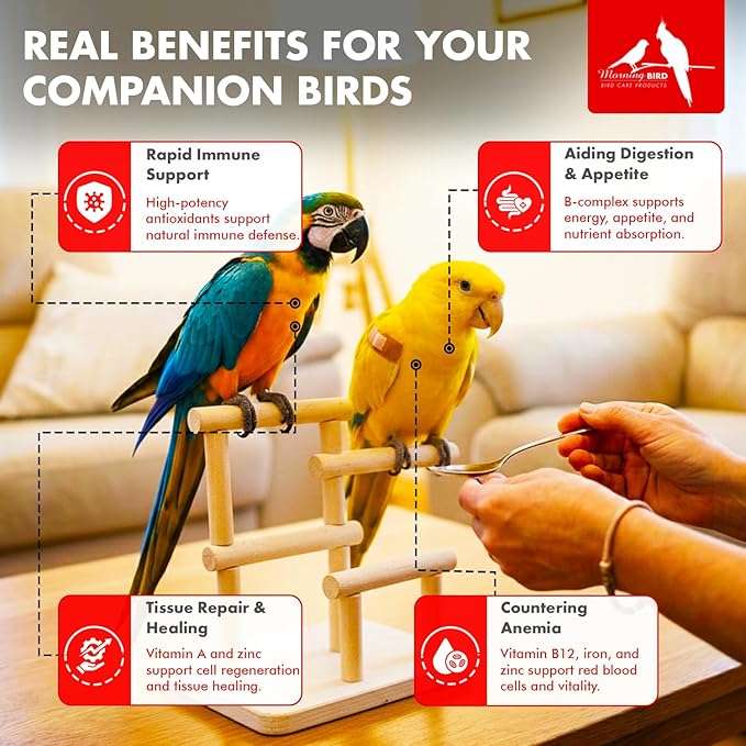 Morning Bird Thrive 4.5 oz – Daily Multi-Vitamin Bird Supplement for Immune & Recovery Support – Ideal for Sick, Injured, or Recovering Birds – Energy & Wellness Formula for Adult Birds