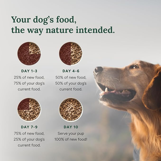 360 Pet Nutrition Freeze-Dried Raw Dog Food – Multi-Protein with Beef, Chicken, Fish, Liver & Organs, High Protein, Omega-3s, Fruits, Veggies & Superfoods, Grain-Free, No Fillers, 5 oz – Made in USA
