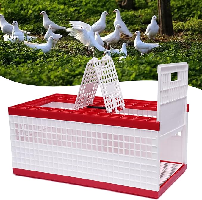Racing Pigeon Carrier Box Bird Training Basket with 2 Side Doors 2 Top Doors Box