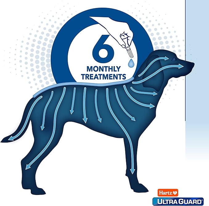 Hartz UltraGuard Dual Action Flea & Tick Topical Dog Treatment and Flea and Tick Prevention, 6 Months, 5-14 Pound Dogs 6-count(Pack of 1)