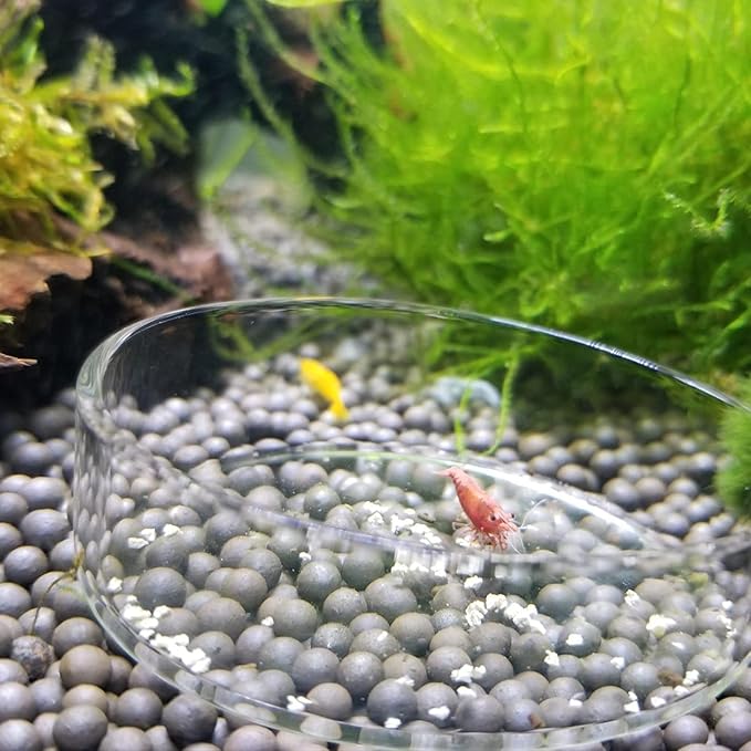 1PCS Aquarium Shrimp Feeding Dish, Glass Round Fish Feeder Bowl Reptiles Water Food Dish Clear Dishes Tray, 60mm
