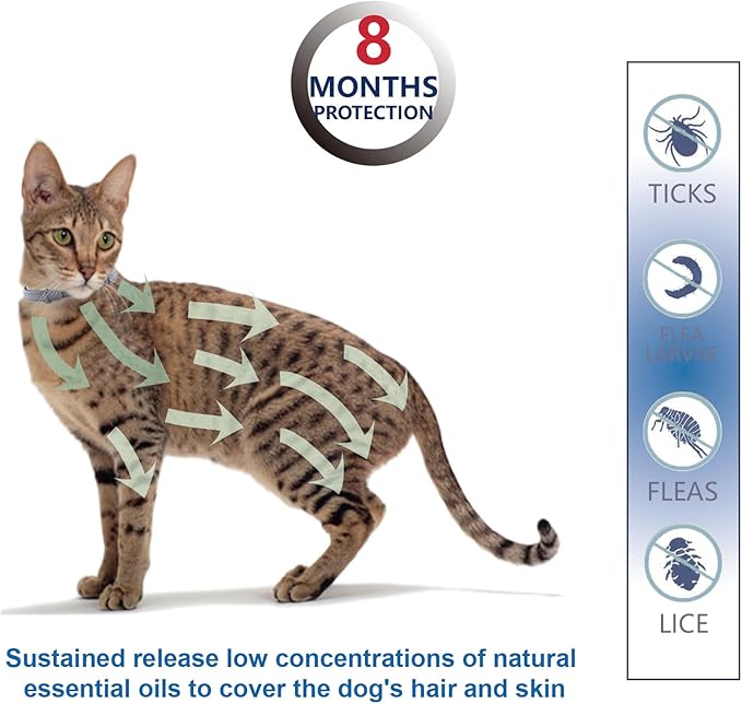 Natural Flea Collar for Cats | High‑Rated Plant‑Based Protection, 8‑Month Waterproof Formula | Includes Grooming Comb & Tick Removal Tool