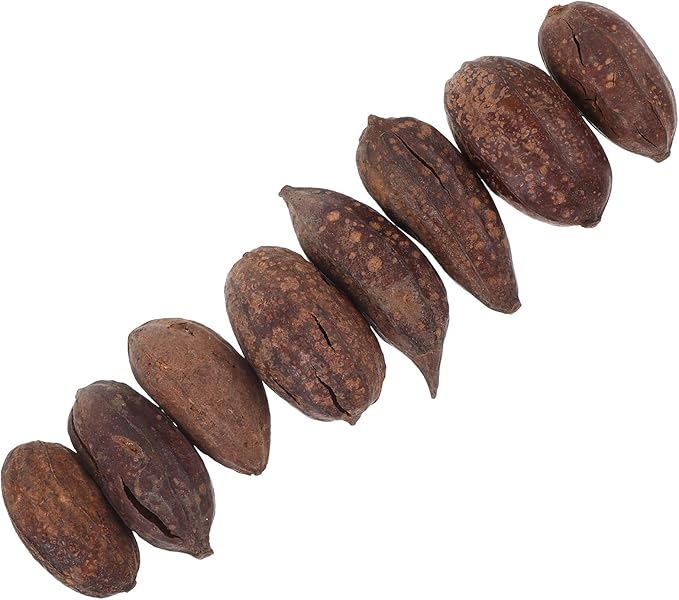 8pcs Natural Dried Fruit Bird Chew for Parakeet Cockatiel Birds Safe Biting Treats for Shredding and Foraging Fun