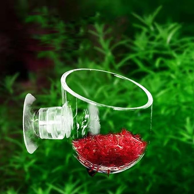 Pack of 10 Aquariums Plant Holder Suction Cup Designs Acrylic Feeding Bowl for Shrimp and Small Fish Feeding