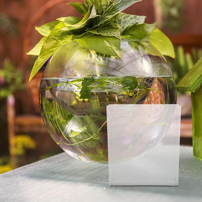 Kisangel Portable Transparent Fish Viewing Box 4.92X4.33X1.49In Lightweight Betta Fish Tank Small Aquarium Breeding Container for Desktop Observation and Care