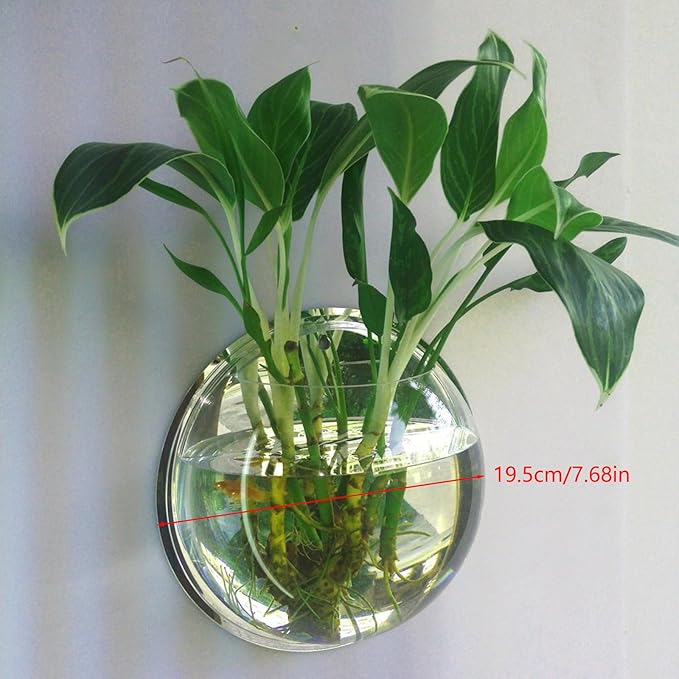 Transparent Wall Mounted Fish Tank 7.68In Hanging Aquarium Bowl for Home Decor Space-Saving Clear Acrylic Fish Aquarium and Plant Display