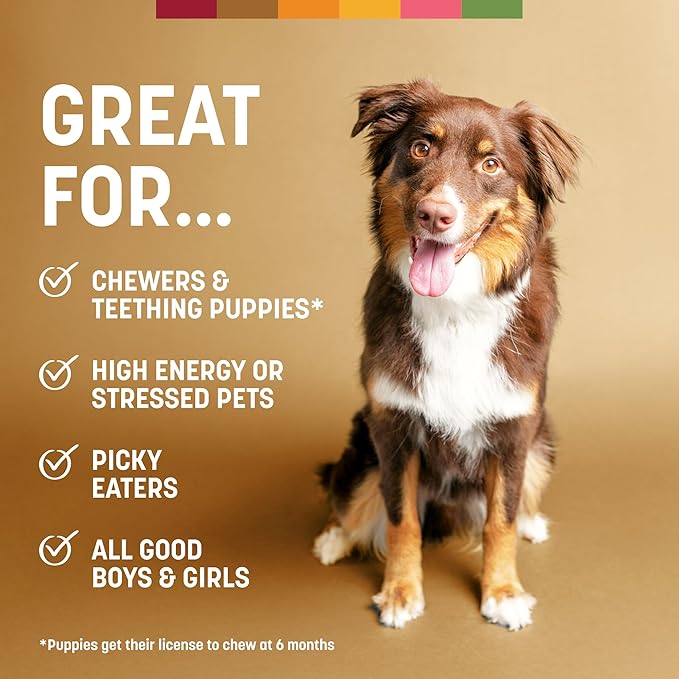 Earth Animal No Hide Chews - Long Lasting Rawhide Free Large Dog Chews Rolls, Salmon - 3 Count Value Pack