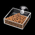 Shrimp Feeding Dish Square Fish Tank Feeding Bowl Clear Acrylic Aquarium Feeder Bowl with Suction Cup