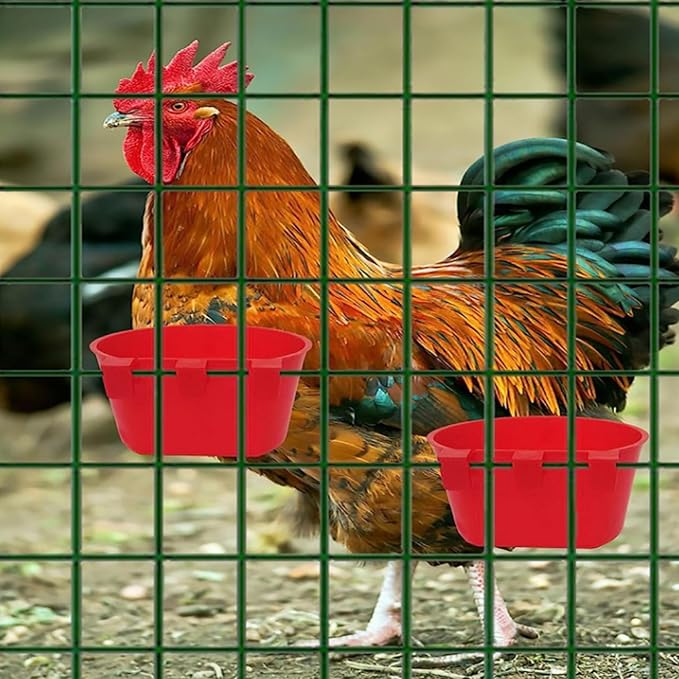Gamefowl Rooster Supplies, 50PCS Plastic Pigeon Feeder, Hanging Chicken Feeder, Easy to Remove Bird Feeding & Watering Supplies for Pet Parrot Parakeet Poultry