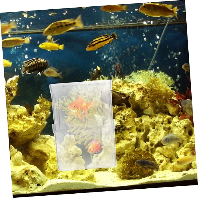 FRCOLOR 4pcs Aquarium Isolation Boxes Small Fish Breeding Hatching to Install Feeding Mouth Compact Design for Juvenile Fish and Shrimp Care